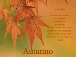 Autunno3 - Gastonemariotti.com