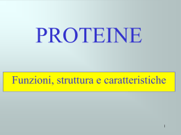 struttura proteine