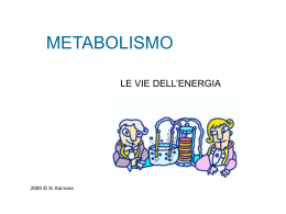 Metabolismo: le vie dell`energia