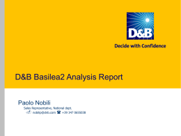 Presentazione Powerpoint D&B Basilea 2 Analysis Report