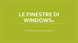 La finestra di Windows©