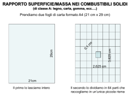 RAPPORTO SUPERFICIE/MASSA NEI COMBUSTIBILI