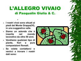 L`ALLEGRO VIVAIO di Pasqualin Giulia & C.