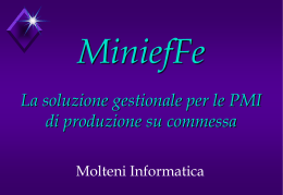 MiniefFe - Molteni Informatica