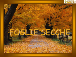 Foglie_secche