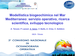 Modellistica biogeochimica nel Mar Mediterraneo