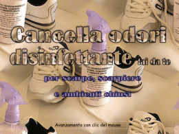 Cancella odori, disinfettante scarpe, scarpiere e