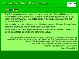4 Countries 1 Tree: The he