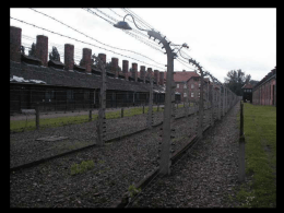 Auschwitz (Francesco Guccini)