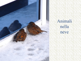 Animalove sulla neve