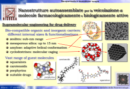 Nanostrutture autoassemblate per la veicolazione di molecole