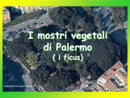 I mostri vegetali di Palermo