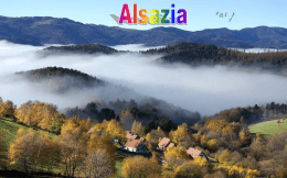 Alsazia - Gatto Silvestro