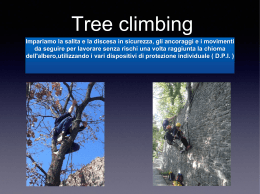 presentazione tree climbing