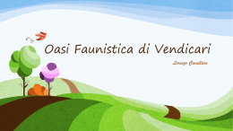 Oasi Faunistica di Vendicari Lorenzo Cavallaro La Storia All`interno