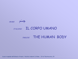 Il corpo umano - arabo/italiano/inglese