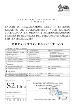 S2.1.b-c. RELAZIONE DI CALCOLO E VSG - PARATIA