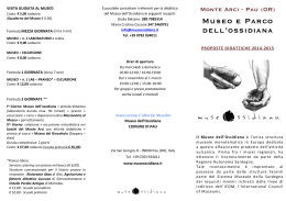PDF - 299 KB - Museo dell`Ossidiana