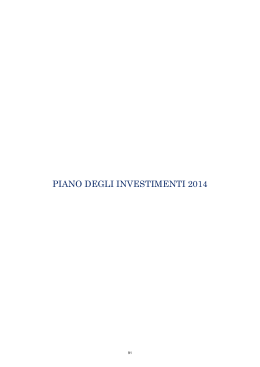 PIANO DEGLI INVESTIMENTI 2014