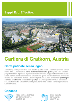 Cartiera di Gratkorn, Austria