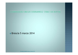 Incontro Brescia 5 marzo 2014-Venosi TAV-1