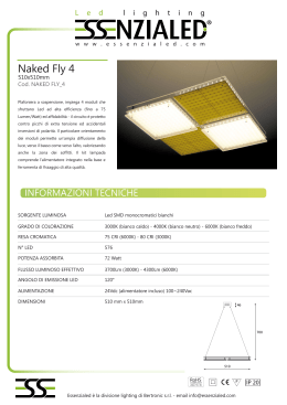 Naked Fly 4