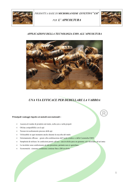 per l` apicoltura una via efficace per debellare la varroa