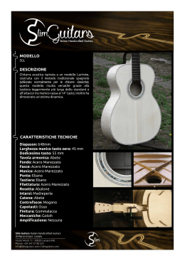 PDF - Slim Guitars
