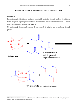 Glicerina 3 molecole di acidi grassi