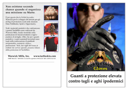 Gloves Guanti a protezione elevata contro tagli e aghi ipodermici