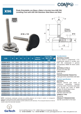 Piede Orientabile con Base e Stelo in Acciaio Inox AISI 304