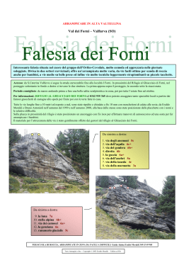Falesia dei Forni - Guide Alpine Alta Valtellina