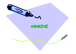 CGO30 Ammine 11/12
