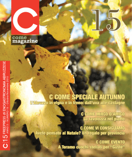 C come Magazine n. 15