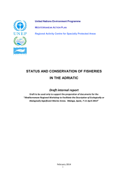 Status and Conservation of Fisheries in the Adriatic