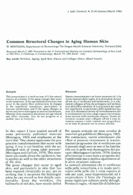 Common Structural Changes in Aging Human Skin