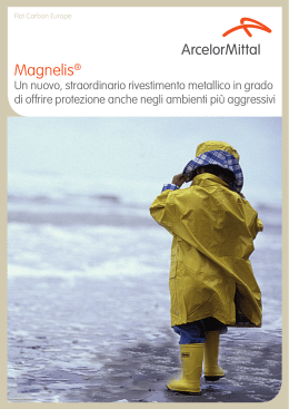 Magnelis®