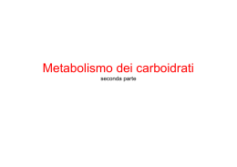 14.met.carboidrati 2