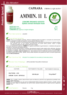 AMMIN. 11 L