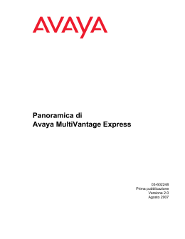 Overview for Avaya MultiVantage Express