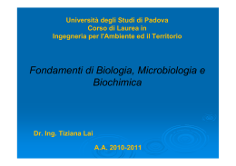 Lezione MOB_16 11 2010 - Università degli Studi di Padova