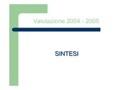 Valutazione 2004 - 2005 SINTESI
