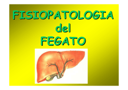 Fisiopatologia del FEGATO