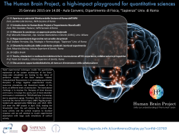 The Human Brain Project, a high-impact playground
