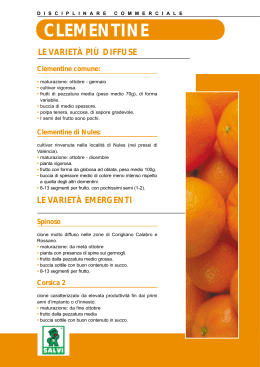 Clementine comune