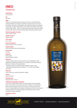 Tenuta Ulisse - Abruzzo - UNICO ChardonnayIGP