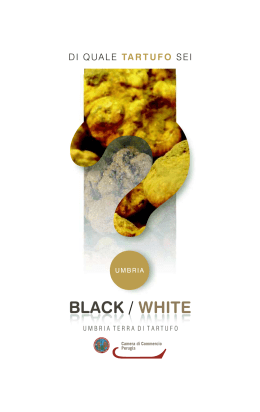 BLACK / WHITE - CCIAA di Perugia