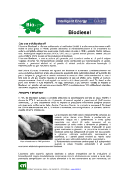 Biodiesel - Comitato Termotecnico Italiano