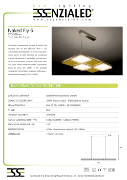 Essezialed Naked Fly 6