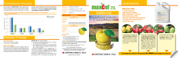 Leaflet MaxCel 2SL